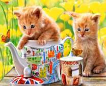 Рыжие котятки в чайнике с бабочками