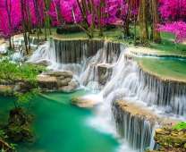 Большой водопад в ярком лесу