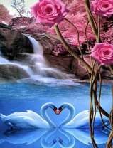 Цветущие розы над лебединым озером