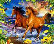 Два молодых скакуна на тропическом побережье