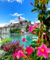 Цветущие берега реки в дневном городе