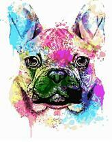 Красивый французский бульдог в ярких цветах