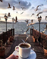 Утренний кофе на причале