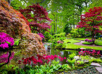 Чудесный сад с прудом