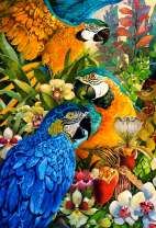 Три ярких ара в цветах орхидей