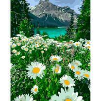 Поляна ромашек у горного озера