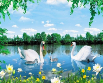 Лебеди с лебедятами на живописном озере