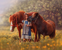 Девочка с лошадьми на цветущей полянке