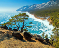 Снежные горы, море и лес