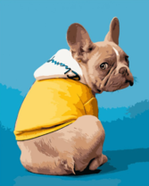 Французский бульдог в кофте с капюшоном