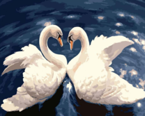 Пара белых лебедей на искристом озере