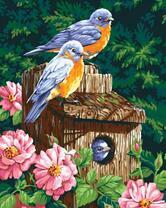 Птички и розы