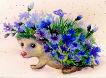 Васильковый ежик