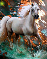 Белая лошадь и брызги воды