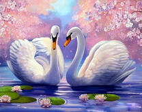 Белые лебеди на озере с цветущими лотосами