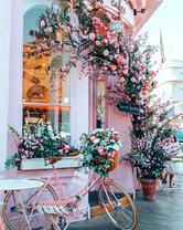 Цветочный магазин и велосипед
