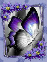 Фиолетовая бабочка и цветы