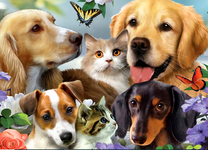 Собачки и кошечки среди цветов и бабочек