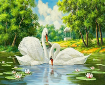 Два лебедя неимоверной красоты