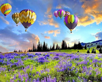 Воздушные шары над луговыми цветами