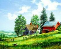 Фермерские домики и котёнок