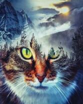 Кошка, лес и горы