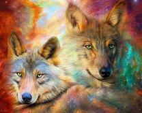 Волки в звездных скоплениях