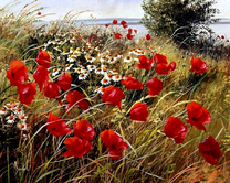 Летние маки с ромашками на поляне у озера