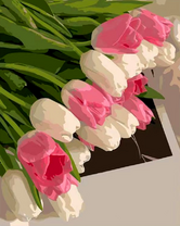 Нежный букет тюльпанов