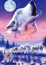 Волки переходят замерзшую реку