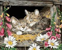 Котята спят на сене