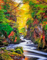 Река в осеннем лесу