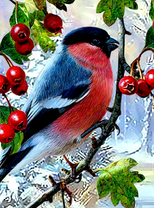 Снегирь на ветке с ягодками