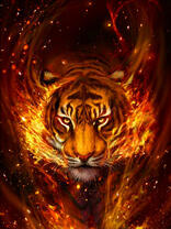 Огненный тигр