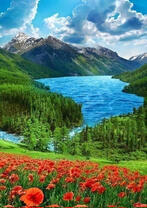 Маковая поляна с видом на горное озеро