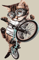 Котёнок-экстремал на велосипеде