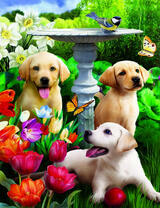 Милые щенки в саду возле фонтана