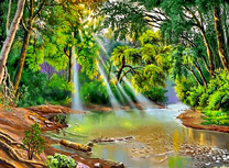 Лучи солнца в лесной глуши