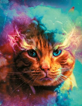 Кот среди разноцветного дыма