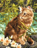 Котик у воды и цветов