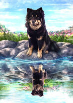 Пес и его отражение щенка