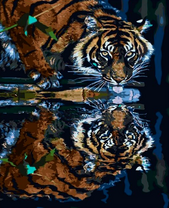 Большой тигр и его отражение