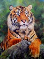 Большой тигр на камне