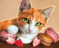 Зеленоглазый котёнок среди сладостей