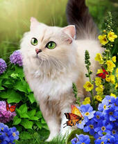 Белый пушистый котёнок среди цветов