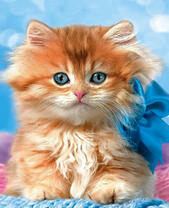 Рыженький котёнок с бантиком