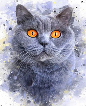 Серый желтоглазый кот