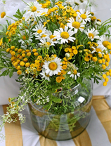 Букет ромашек в банке