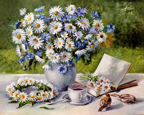 Букет ромашек и васильков в саду