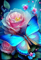 Бабочка небесного цвета и роза